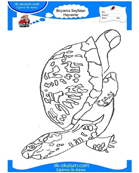 Çocuklar İçin Kaplumbağa Boyama Sayfaları 